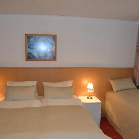 Ferienwohnungen Walcher Ramsau am Dachstein Room photo