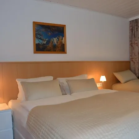 Ferienwohnungen Walcher Ramsau am Dachstein Room photo